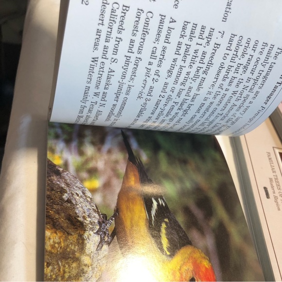 AUDUBON SOCIETY POCKET GUIDES Gift Set Western REGION/SLIP CASE By John Farrand - Picture 16 of 16